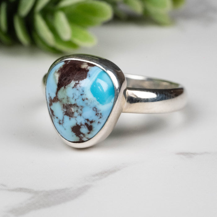 Golden Hill Turquoise Ring 12x11mm Size 9