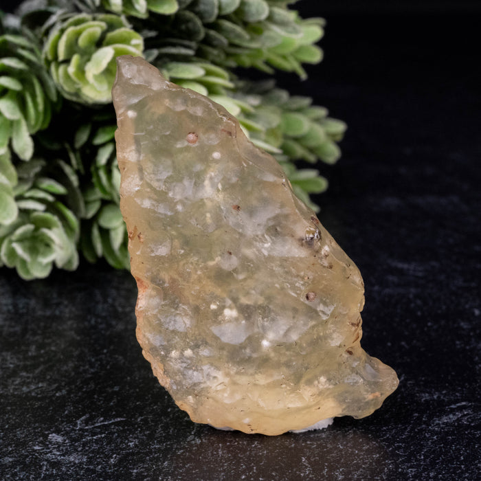 Libyan Desert Glass 28.15 g 63x36x17mm