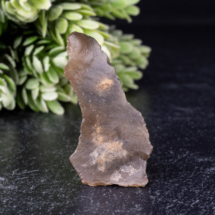 Libyan Desert Glass 7.75 g 43x22x13mm