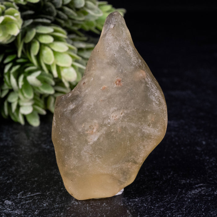 Libyan Desert Glass 32.70 g 59x35x19mm
