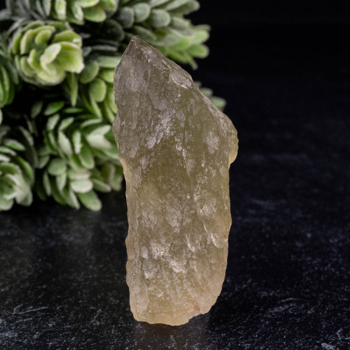 Libyan Desert Glass 28.40 g 59x24x21mm
