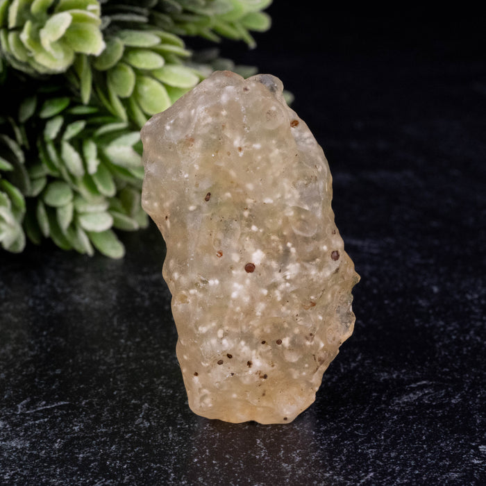 Libyan Desert Glass 19.92 g 49x30x16mm