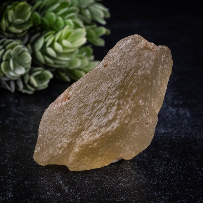 Libyan Desert Glass 49.82 g 57x32x27mm