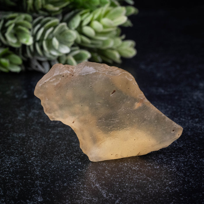 Libyan Desert Glass 13.46 g 45x30x12mm