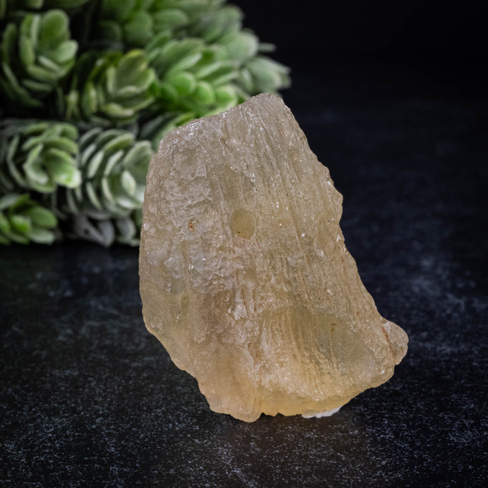 Libyan Desert Glass 32.99 g 47x31x22mm