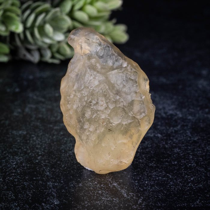 Libyan Desert Glass 10.02 g 38x23x12mm