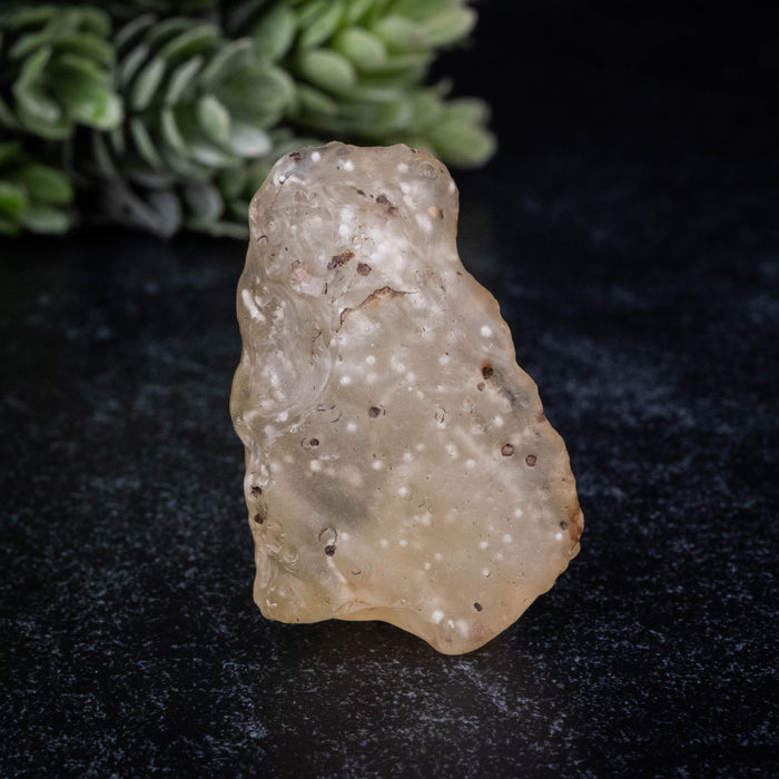 Libyan Desert Glass 13.46 g 37x23x17mm