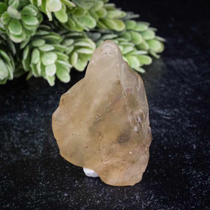 Libyan Desert Glass 31.03 g 54x35x26mm
