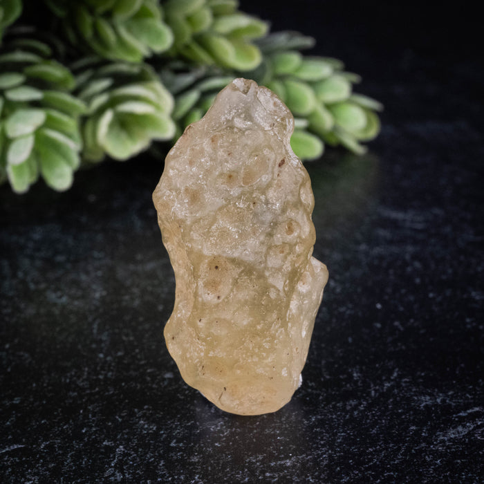Libyan Desert Glass 9.97 g 39x18x13mm