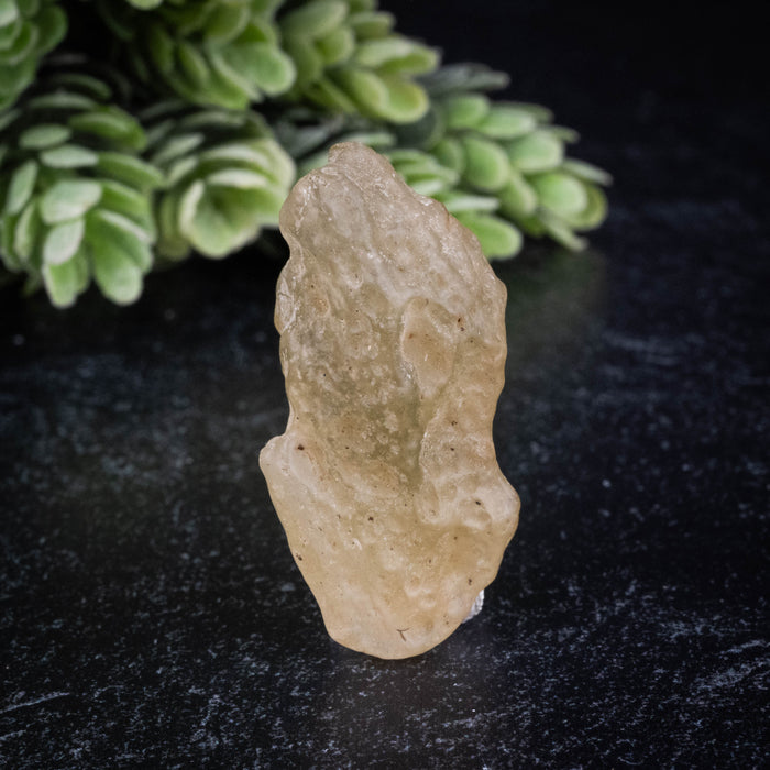Libyan Desert Glass 9.97 g 39x18x13mm