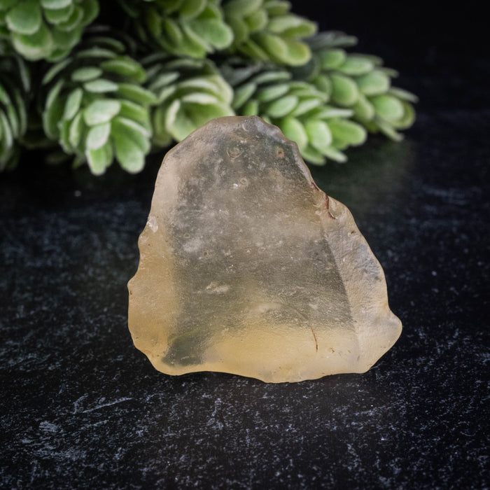 Libyan Desert Glass 12.73 g 38x31x13mm