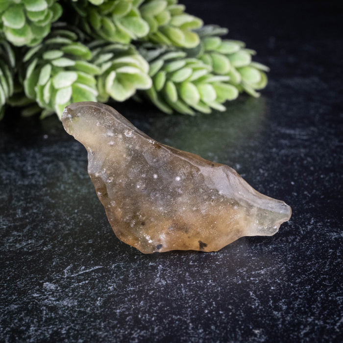 Libyan Desert Glass 8.91 g 48x22x11mm