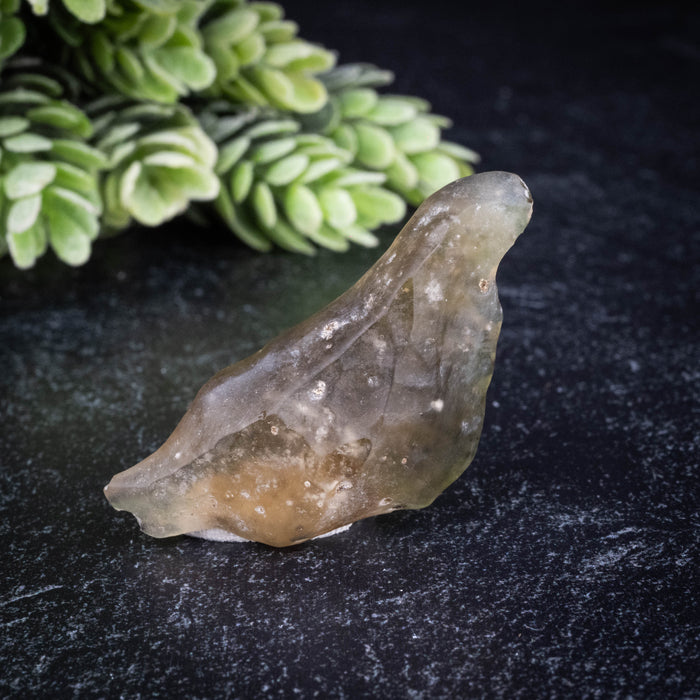 Libyan Desert Glass 8.91 g 48x22x11mm