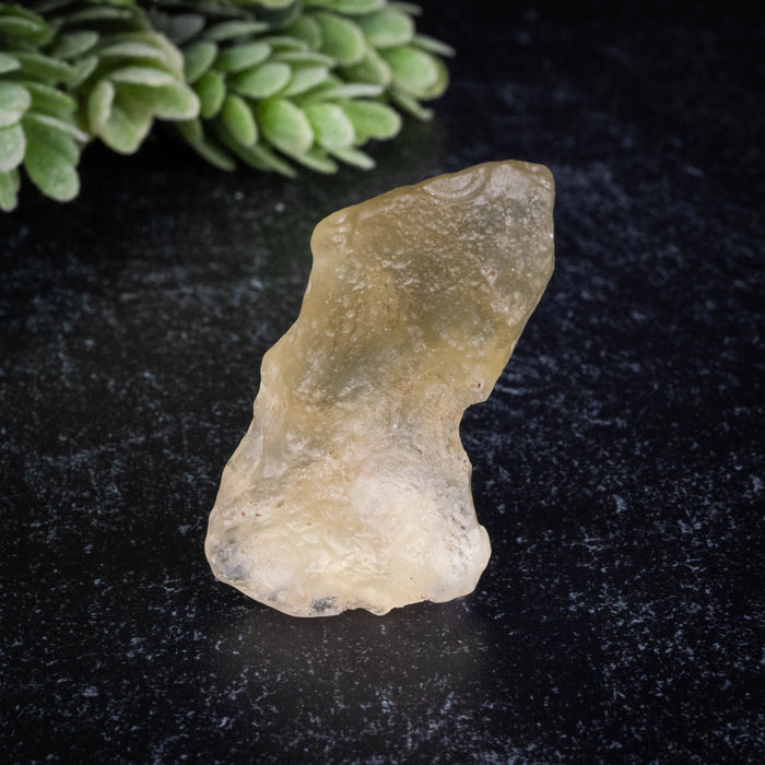 Libyan Desert Glass 10.25 g 44x23x14mm