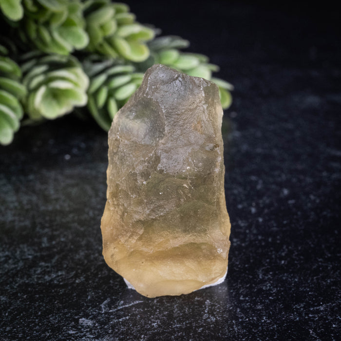 Libyan Desert Glass 16.97 g 40x22x19mm