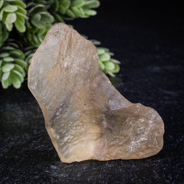Libyan Desert Glass 31.73 g 61x39x16mm
