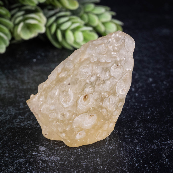 Libyan Desert Glass 21.94 g 41x27x20mm