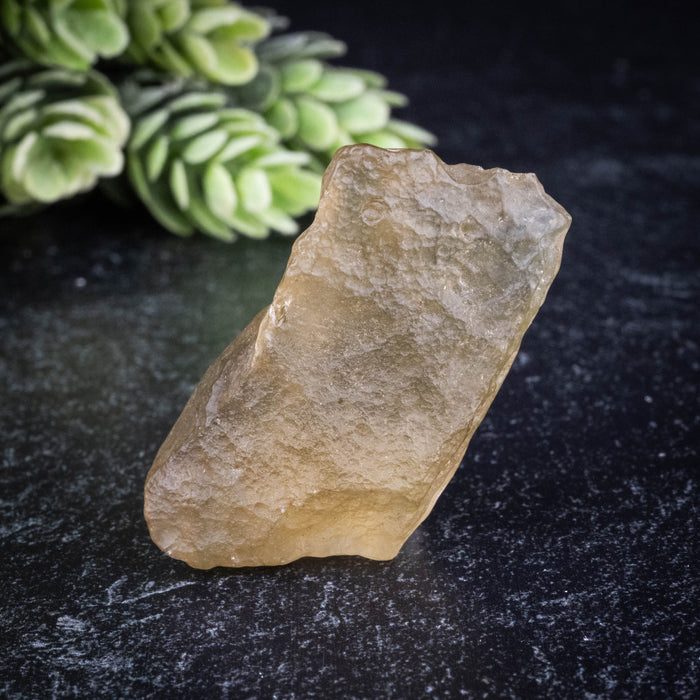 Libyan Desert Glass 15.70 g 39x23x20mm