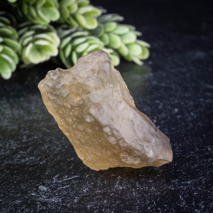 Libyan Desert Glass 15.70 g 39x23x20mm
