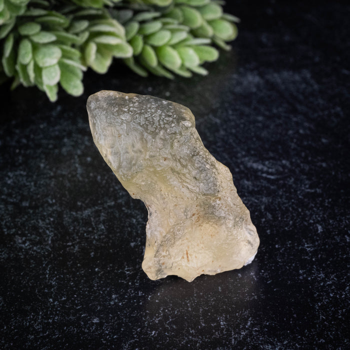 Libyan Desert Glass 10.25 g 44x23x14mm