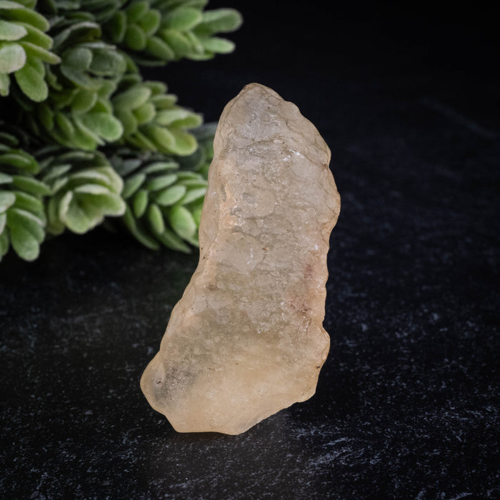 Libyan Desert Glass 22.32 g 50x21x19mm