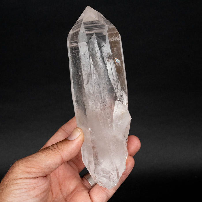 Lemurian Seed Crystal 593 g 167x58mm Phantom