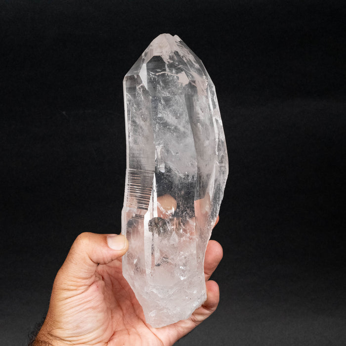 Lemurian Seed Crystal 1751 g 222x85mm