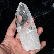 Lemurian Seed Crystal 356 g 135x54mm - InnerVision Crystals