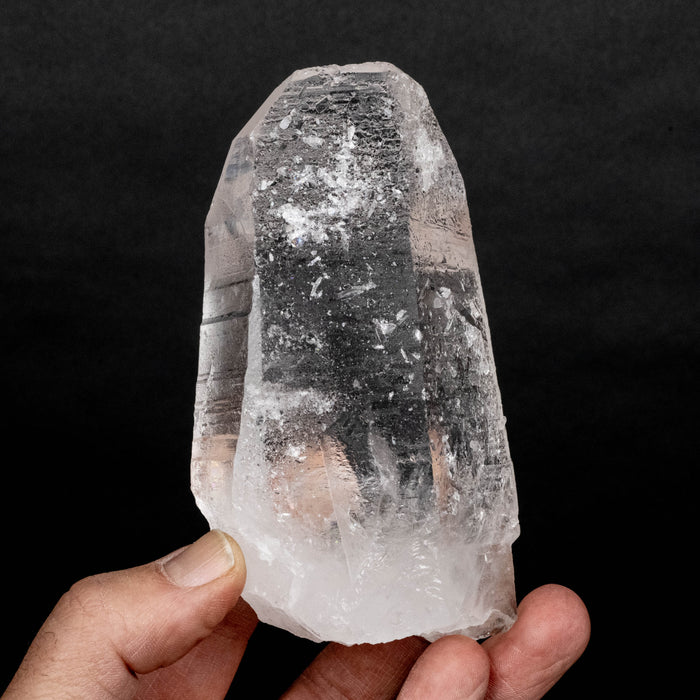 Lemurian Seed Crystal 506 g 122x68mm