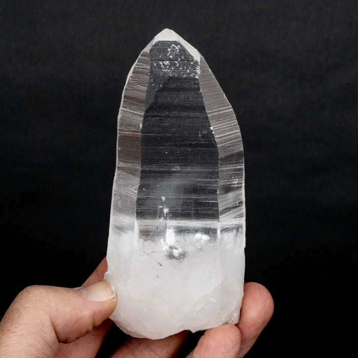 Lemurian Seed Crystal 320 g 118x53mm