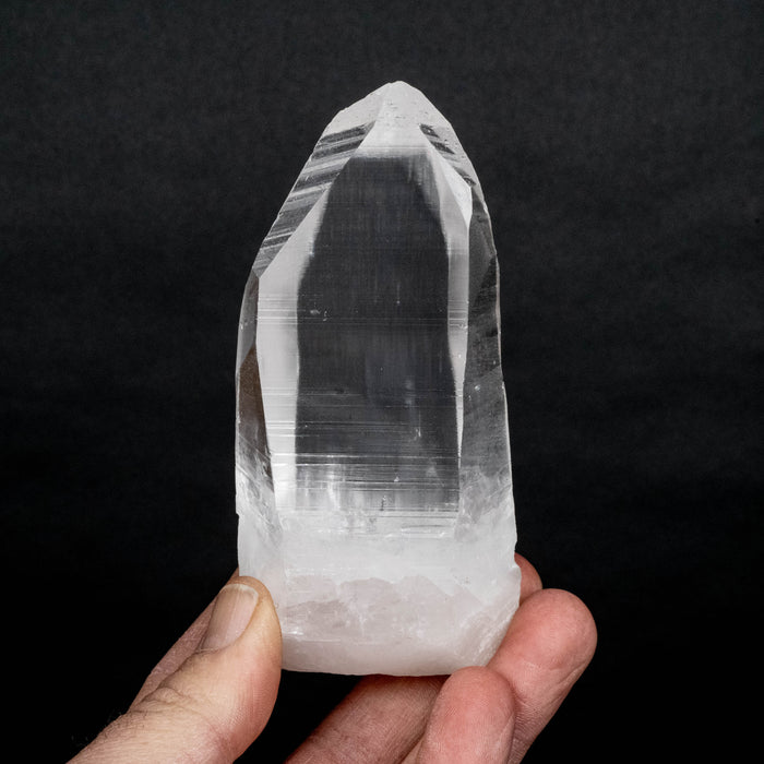 Lemurian Seed Crystal 320 g 118x53mm