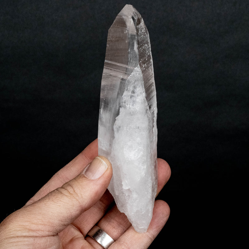 Lemurian Seed Crystal 233 g 143x45mm - InnerVision Crystals