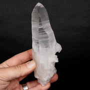 Lemurian Seed Crystal 289 g 148x43mm DT - InnerVision Crystals