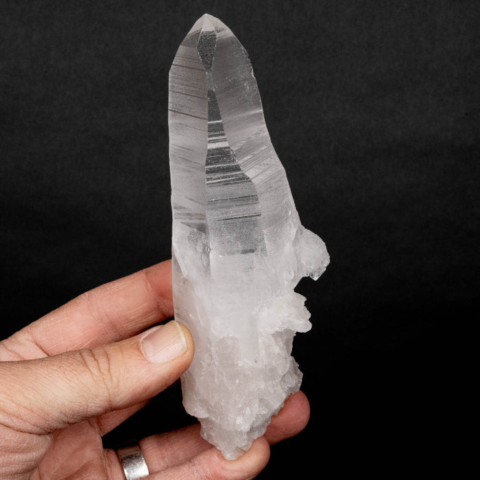 Lemurian Seed Crystal 289 g 148x43mm DT