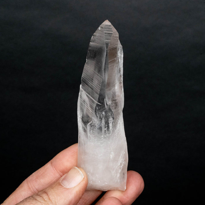 Lemurian Seed Crystal 106 g 117x26mm