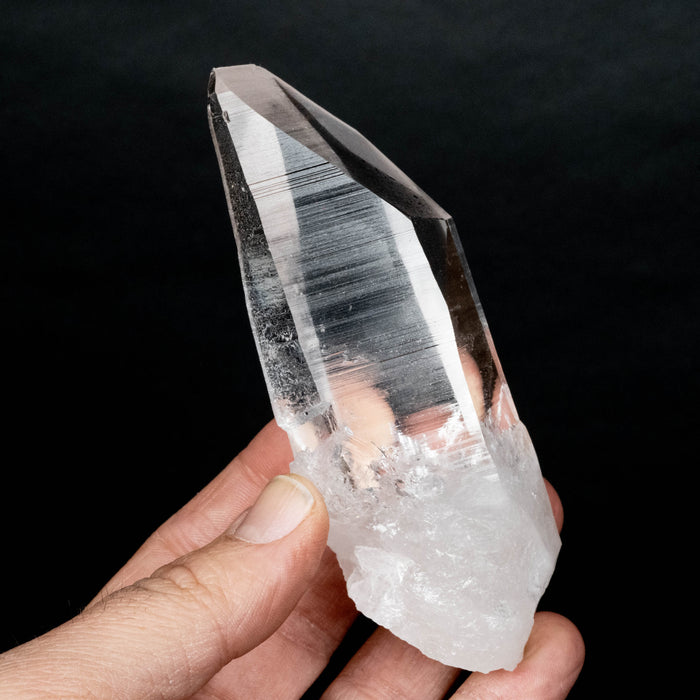 Lemurian Seed Crystal 225 g 118x40mm