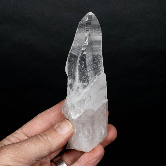 Lemurian Seed Crystal 256 g 133x43mm