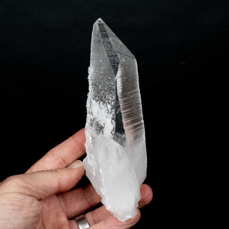 Lemurian Seed Crystal 436 g 150x61mm DT Self Healed - InnerVision Crystals