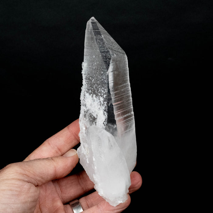 Lemurian Seed Crystal 436 g 150x61mm DT Self Healed