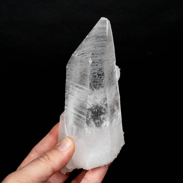 Lemurian Seed Crystal 436 g 150x61mm DT Self Healed