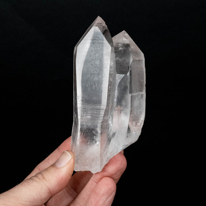 Lemurian Seed Crystal 343 119x59mm