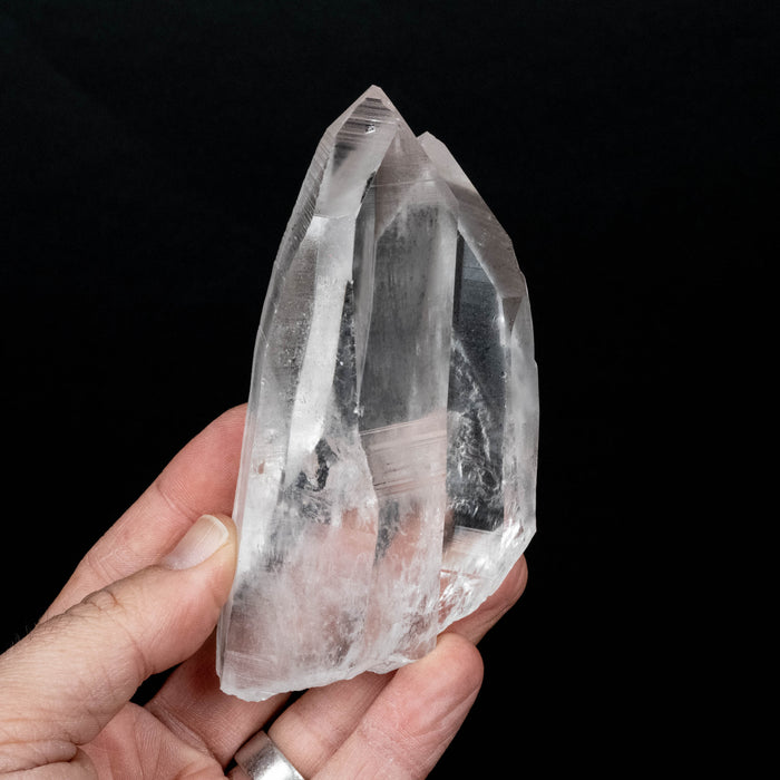 Lemurian Seed Crystal 343 119x59mm