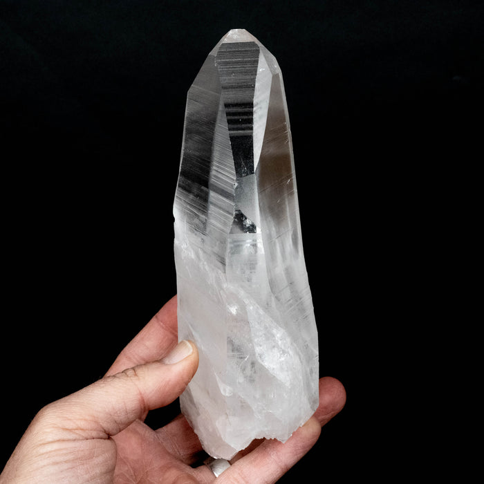 Lemurian Seed Crystal 852 g 180x75mm DT Self Healed