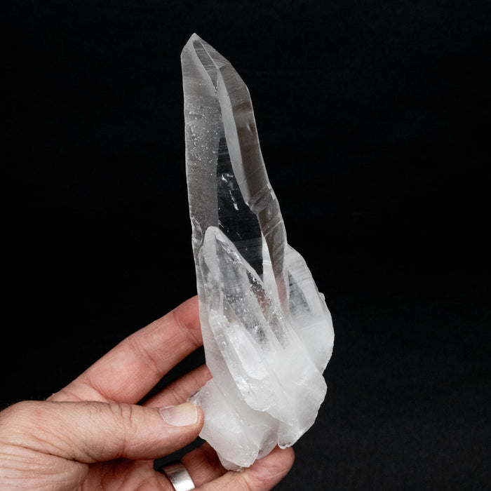 Lemurian Seed Quartz Crystal DT 366 g 173x50mm