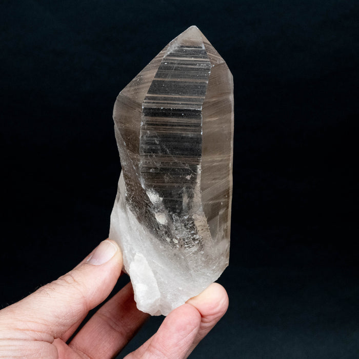 Lemurian Seed Quartz Crystal 501 g 138x50mm