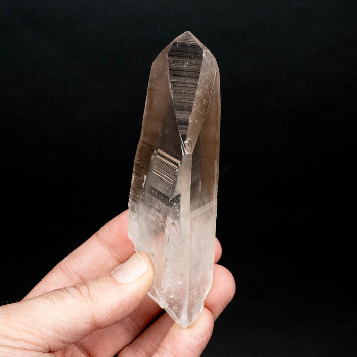 Lemurian Seed Quartz Crystal DT 205 g 120x47mm