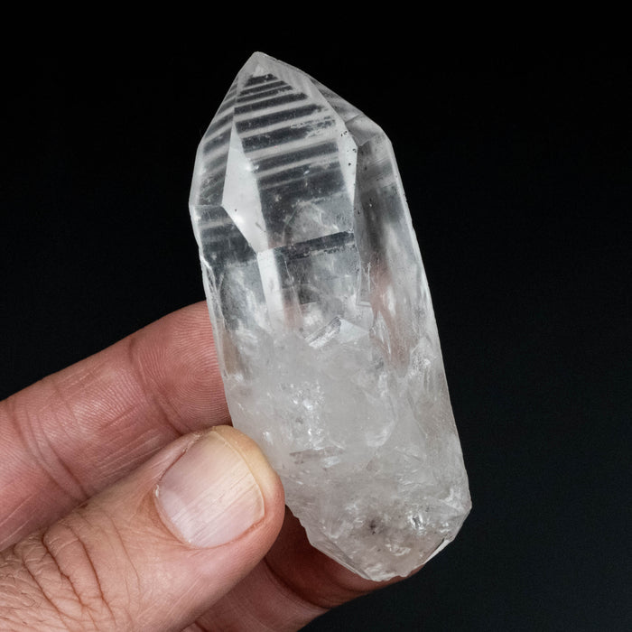 Lemurian Seed Quartz Crystal DT 101 g 80x36mm