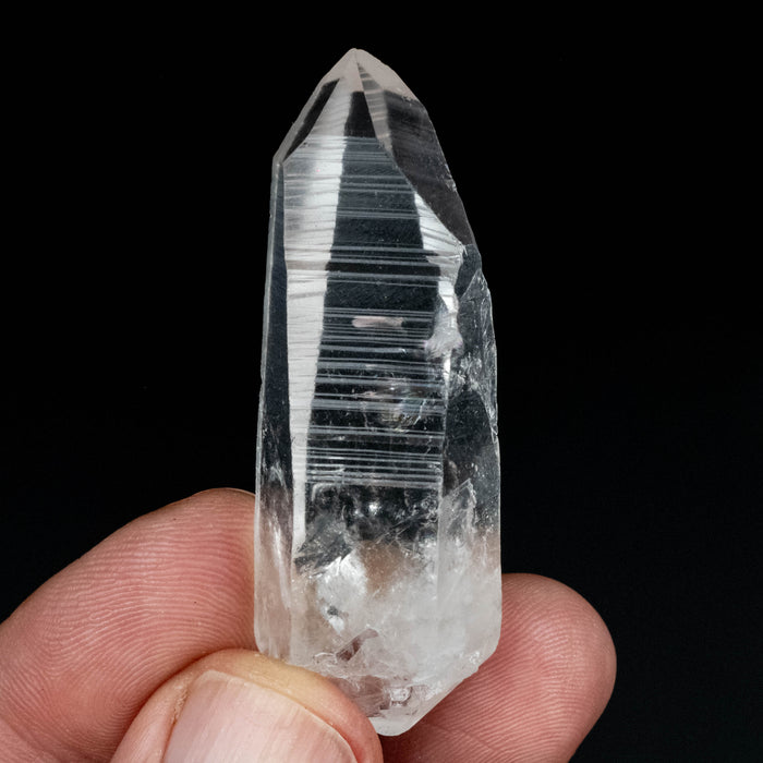 Lemurian Seed Quartz Crystal DT 24 g 56x20mm