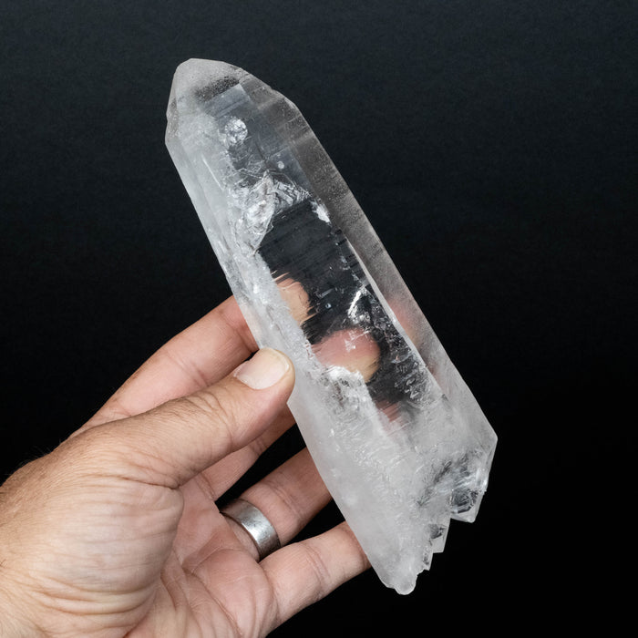 Lemurian Seed Quartz Crystal *DT 440 g 175x54mm