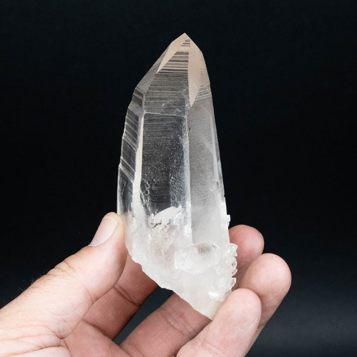 Lemurian Seed Quartz Crystal 280 g 113x60mm
